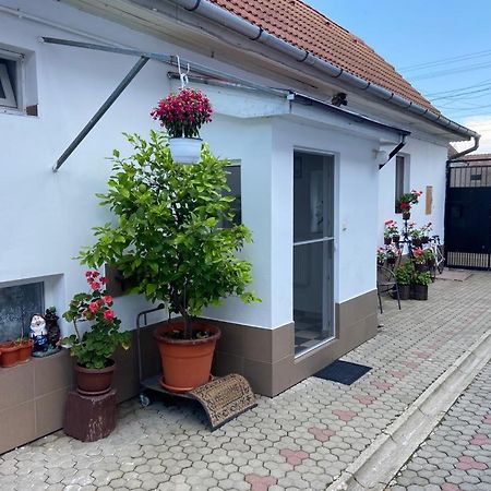 Brick Airport Apartment Cristian  Exterior photo